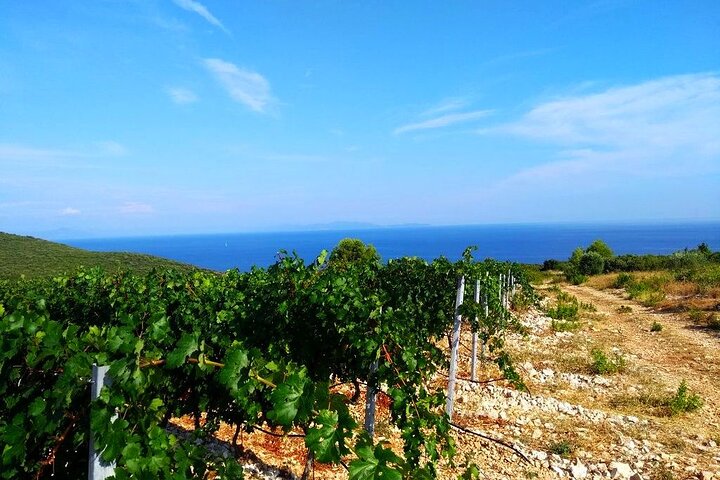 Experimente um emocionante safari buggy pelas paisagens cênicas de Korcula, desfrutando de comida e vinho locais, foto 32 | wizardtrip