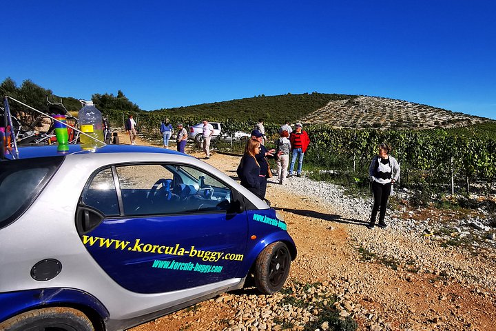 Experimente um emocionante safari buggy pelas paisagens cênicas de Korcula, desfrutando de comida e vinho locais, foto 34 | wizardtrip