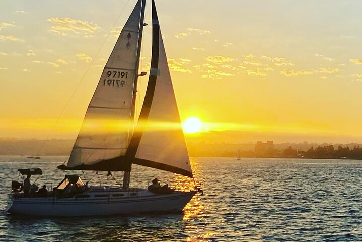 Njut av en naturskön segeltur i San Diego Bay, med utsikt över stadens silhuett och marint liv, foto 10 | wizardtrip