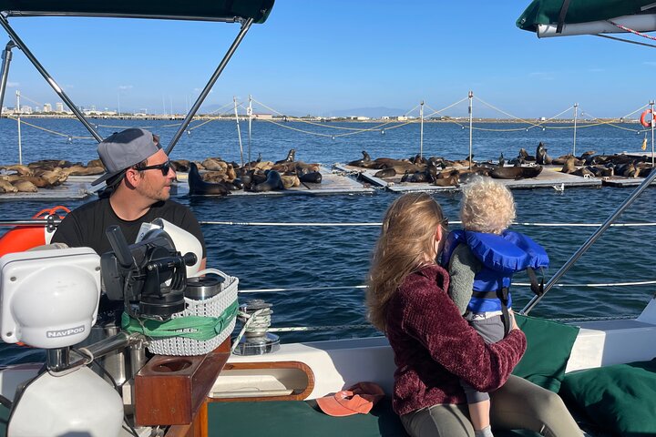 Njut av en naturskön segeltur i San Diego Bay, med utsikt över stadens silhuett och marint liv, foto 14 | wizardtrip