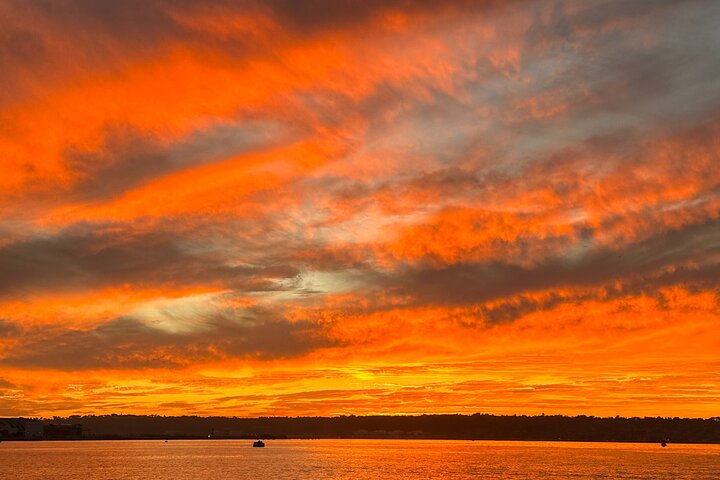 Njut av en naturskön segeltur i San Diego Bay, med utsikt över stadens silhuett och marint liv, foto 17 | wizardtrip