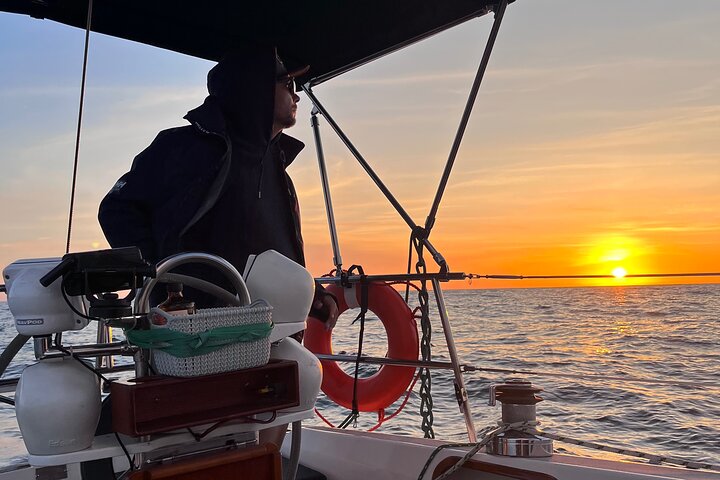 Njut av en naturskön segeltur i San Diego Bay, med utsikt över stadens silhuett och marint liv, foto 19 | wizardtrip