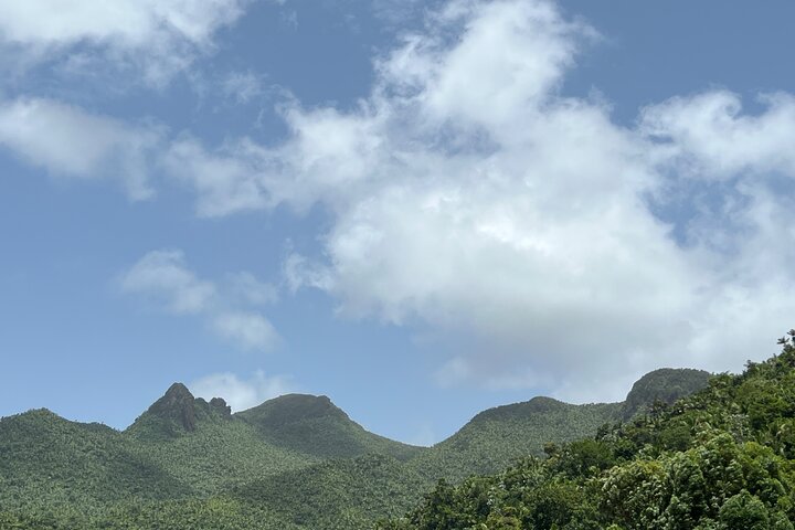 Visite guidée de la forêt nationale d'El Yunque à Porto Rico, avec des cascades, une végétation luxuriante et des points de vue panoramiques, photo 6 | wizardtrip