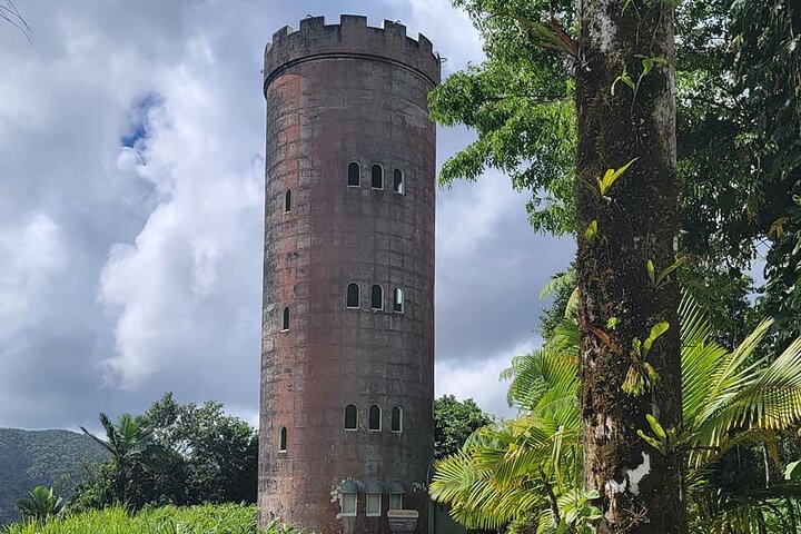 Visite guidée de la forêt nationale d'El Yunque à Porto Rico, avec des cascades, une végétation luxuriante et des points de vue panoramiques, photo 7 | wizardtrip