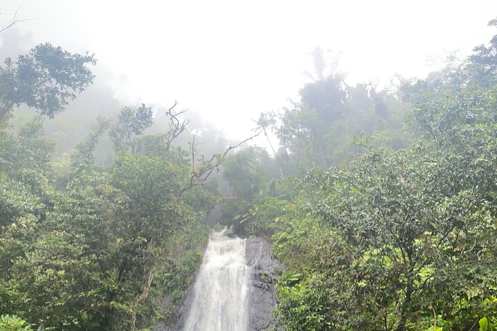 Visite guidée de la forêt nationale d'El Yunque à Porto Rico, avec des cascades, une végétation luxuriante et des points de vue panoramiques, photo 10 | wizardtrip