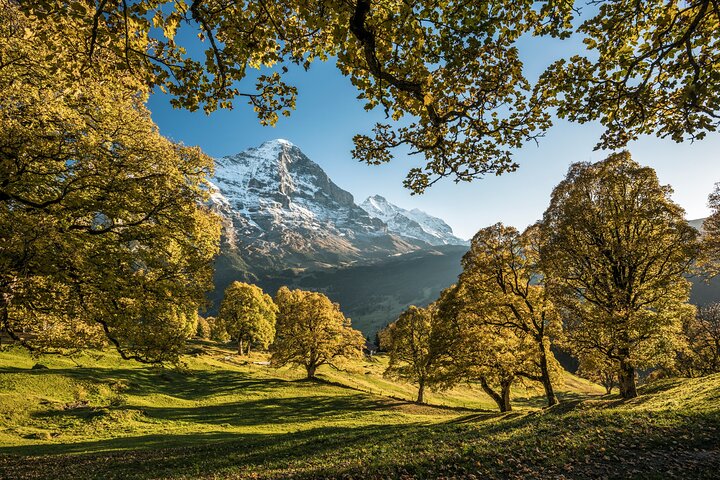 Naturskøn dagstur til Interlaken, Grindelwald og Lauterbrunnen fra Zürich, Schweiz, foto 6 | wizardtrip