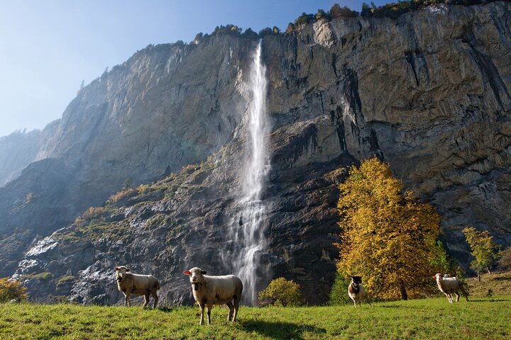 Naturskøn dagstur til Interlaken, Grindelwald og Lauterbrunnen fra Zürich, Schweiz, foto 7 | wizardtrip