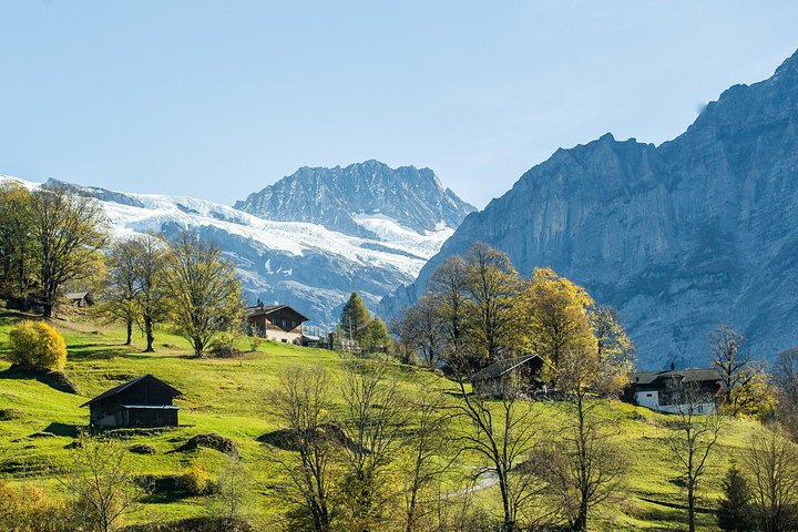 Gita panoramica al Jungfraujoch, il 'Top of Europe', da Zurigo, Svizzera, foto 25 | wizardtrip