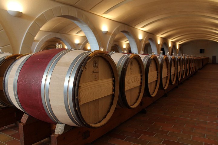 Electric bike tour through Saint-Émilion vineyards with wine tasting and lunch, photo 9 | wizardtrip