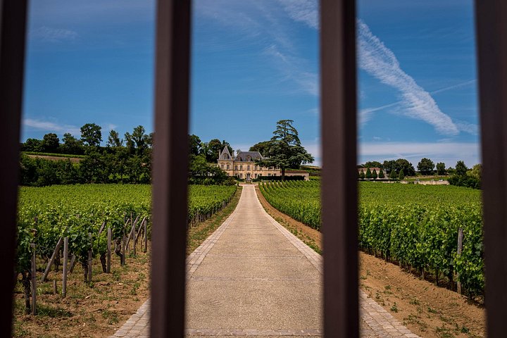 Electric bike tour through Saint-Émilion vineyards with wine tasting and lunch, photo 11 | wizardtrip