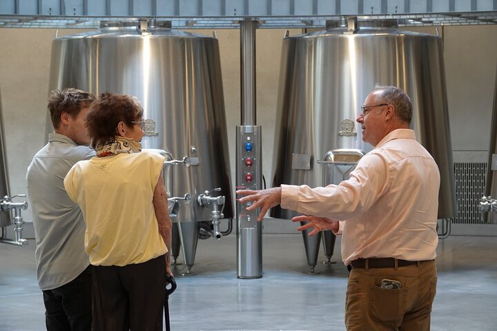 Electric bike tour through Saint-Émilion vineyards with wine tasting and lunch, photo 14 | wizardtrip