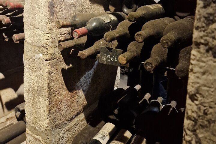 Electric bike tour through Saint-Émilion vineyards with wine tasting and lunch, photo 17 | wizardtrip
