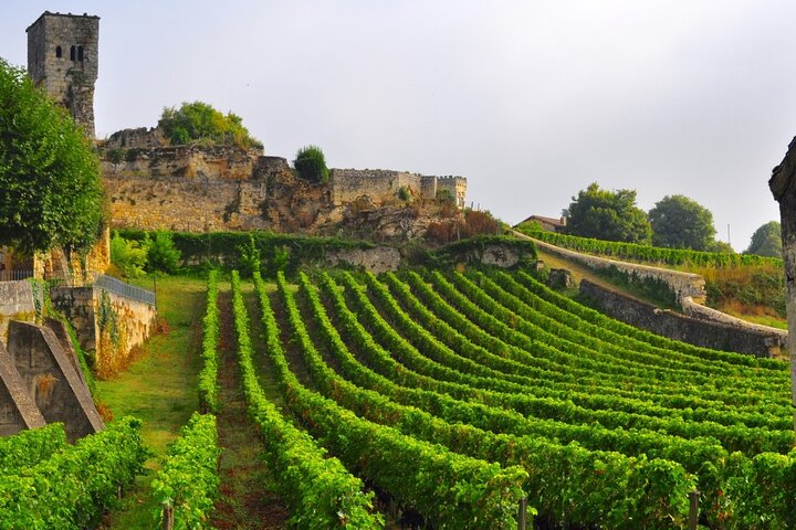 Electric bike tour through Saint-Émilion vineyards with wine tasting and lunch, photo 19 | wizardtrip