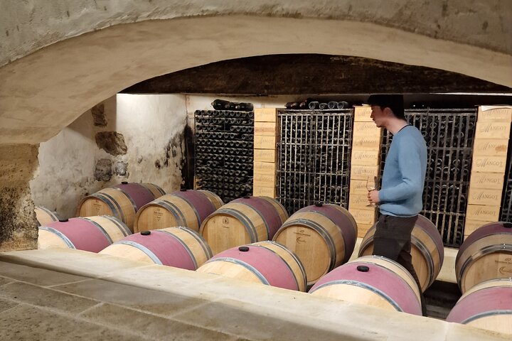 Electric bike tour through Saint-Émilion vineyards with wine tasting and lunch, photo 21 | wizardtrip