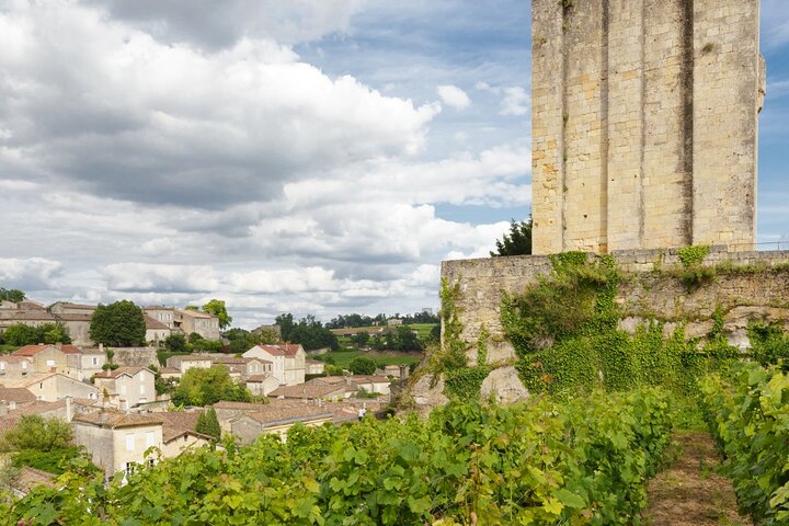 Electric bike tour through Saint-Émilion vineyards with wine tasting and lunch, photo 22 | wizardtrip