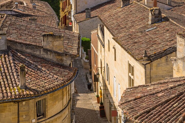 Electric bike tour through Saint-Émilion vineyards with wine tasting and lunch, photo 25 | wizardtrip