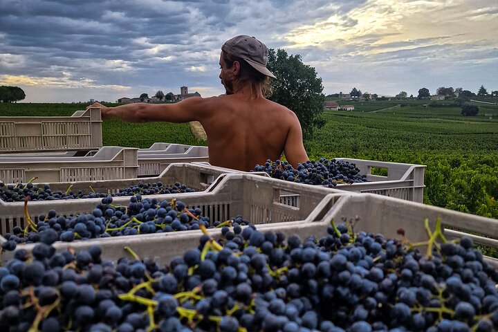 Electric bike tour through Saint-Émilion vineyards with wine tasting and lunch, photo 26 | wizardtrip