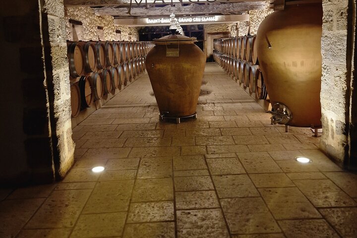 Electric bike tour through Saint-Émilion vineyards with wine tasting and lunch, photo 27 | wizardtrip