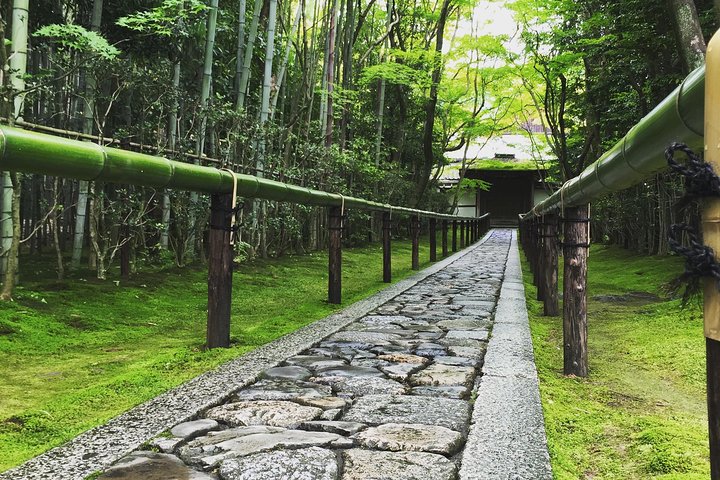 Hidden Kyoto E-Biking Tour | wizardtrip