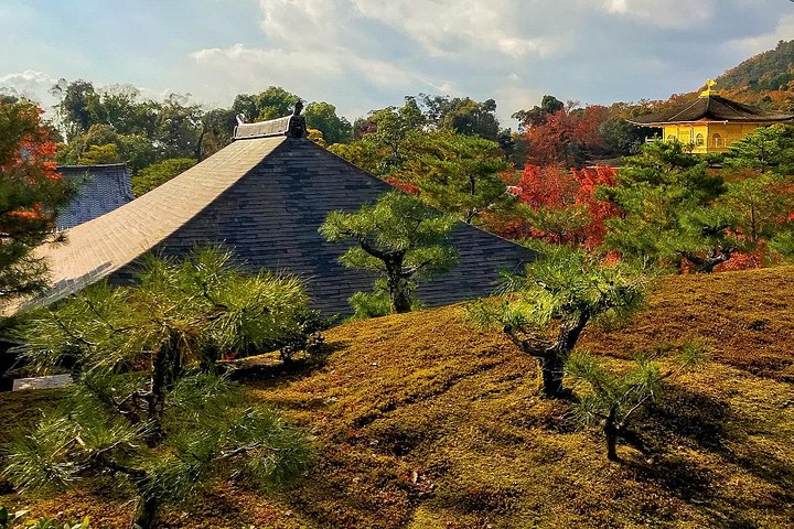 E-Bike-Tour in Kyoto mit Tempeln, Gärten und historischen Straßen, Foto 6 | wizardtrip