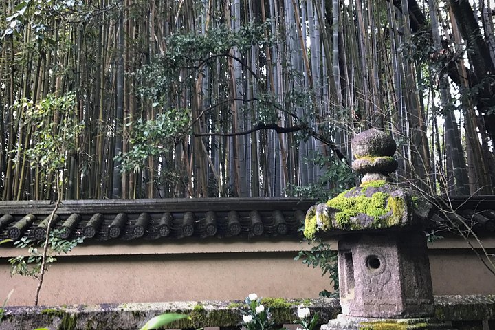 E-Bike-Tour in Kyoto mit Tempeln, Gärten und historischen Straßen, Foto 7 | wizardtrip