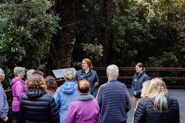 Boottocht op de Gordon River vanuit Strahan | wizardtrip