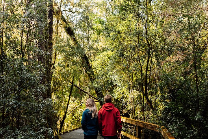 Malerische Fahrt durch Tasmaniens Wildnis, Erkundung des Gordon River und Sarah Island, Foto 7 | wizardtrip