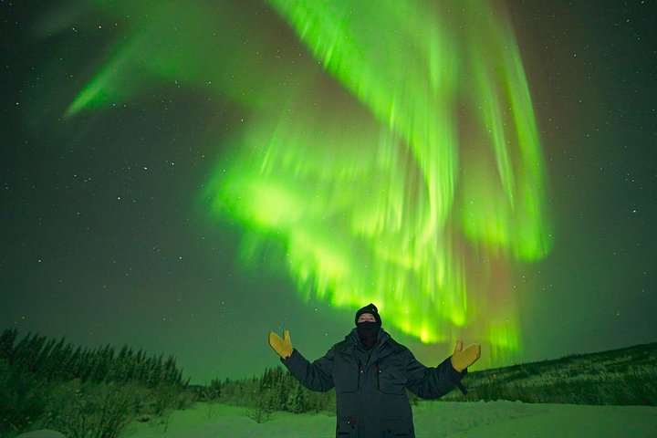 Experience the magic of the Northern Lights on an Arctic night tour from Fairbanks, Alaska, photo 7 | wizardtrip