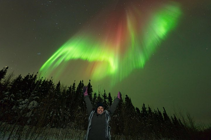 Experience the magic of the Northern Lights on an Arctic night tour from Fairbanks, Alaska, photo 8 | wizardtrip