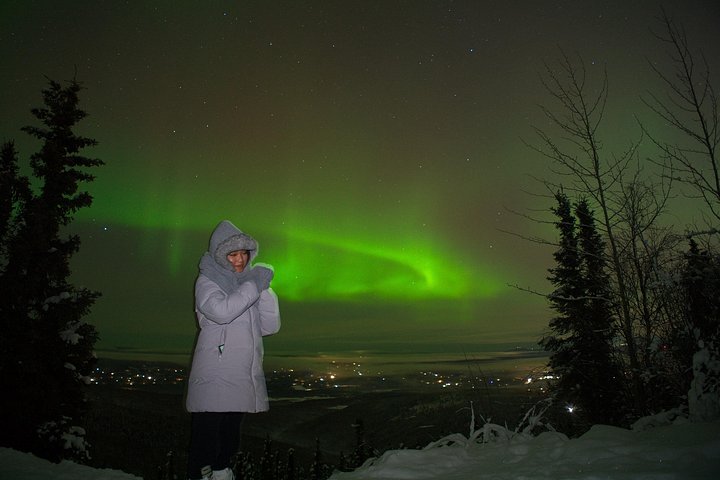 Experience the magic of the Northern Lights on an Arctic night tour from Fairbanks, Alaska, photo 25 | wizardtrip