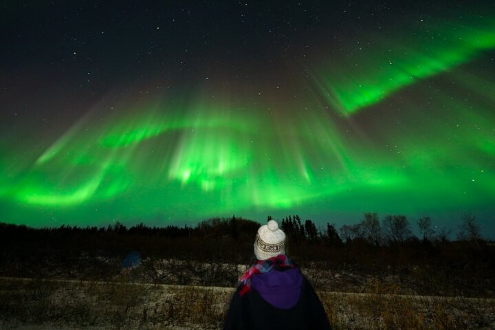 Experience the magic of the Northern Lights on an Arctic night tour from Fairbanks, Alaska, photo 28 | wizardtrip