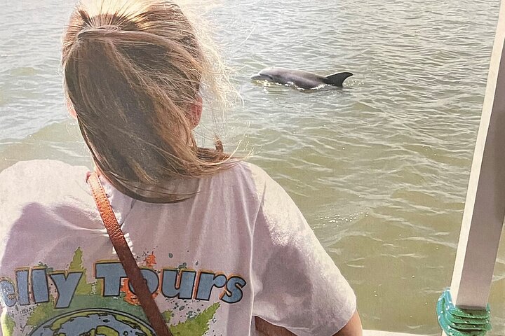 Dolfijnencruise en vuurtorenbezoek op Tybee Island vanuit Savannah, foto 8 | wizardtrip