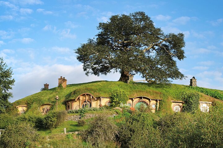 Experimenta la magia del Hobbiton Movie Set en un tour de un día desde Rotorua, con vistas panorámicas y un delicioso almuerzo, foto 7 | wizardtrip