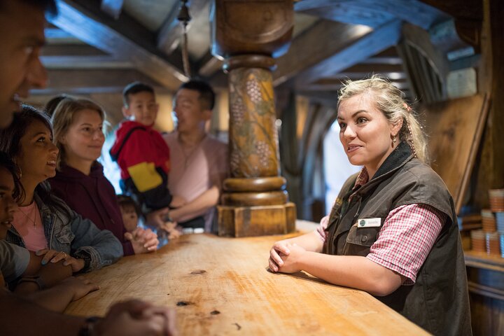 Experimenta la magia del Hobbiton Movie Set en un tour de un día desde Rotorua, con vistas panorámicas y un delicioso almuerzo, foto 8 | wizardtrip
