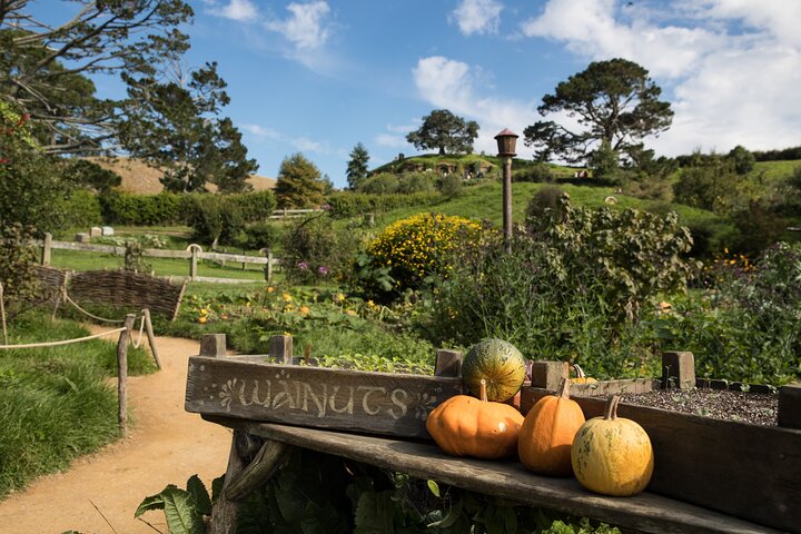 Experimenta la magia del Hobbiton Movie Set en un tour de un día desde Rotorua, con vistas panorámicas y un delicioso almuerzo, foto 9 | wizardtrip