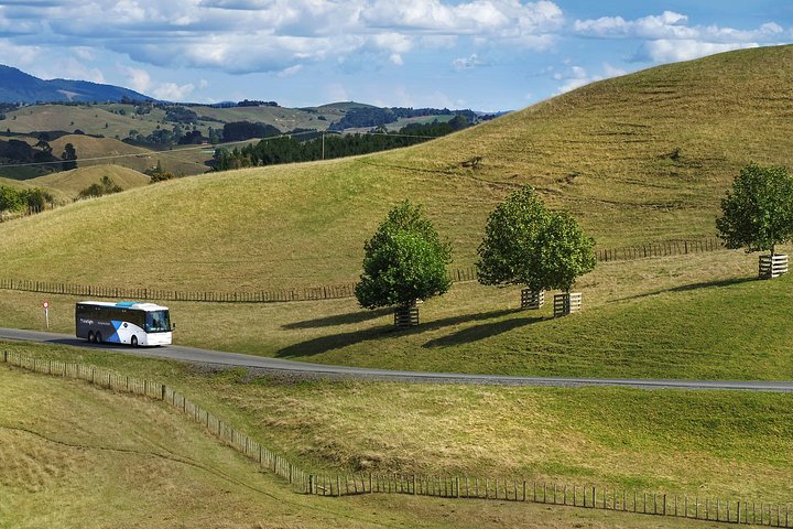 Guidad tur till Hobbiton Movie Set och Waitomo Glowworm Caves från Auckland, foto 7 | wizardtrip