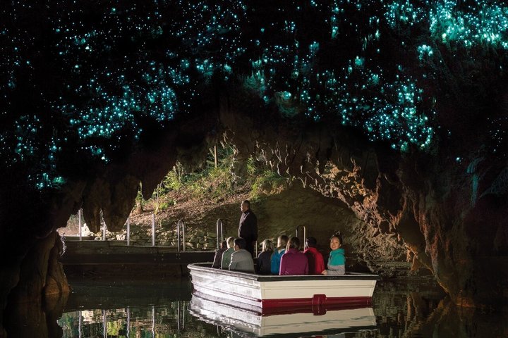Guidad tur till Hobbiton Movie Set och Waitomo Glowworm Caves från Auckland, foto 11 | wizardtrip
