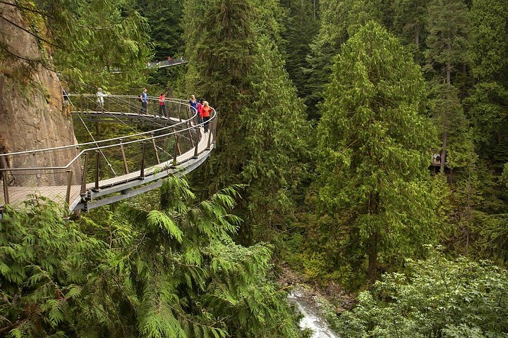 Eine geführte Tour, die Vancouvers Wahrzeichen zeigt, darunter die Capilano Suspension Bridge und Stadtblicke, Foto 8 | wizardtrip