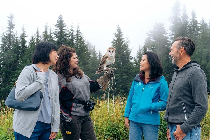 Utforsk Vancouvers North Shore, inkludert Capilano Suspension Bridge og Grouse Mountain, foto 8 | wizardtrip