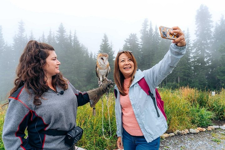 Utforsk Vancouvers North Shore, inkludert Capilano Suspension Bridge og Grouse Mountain, foto 9 | wizardtrip