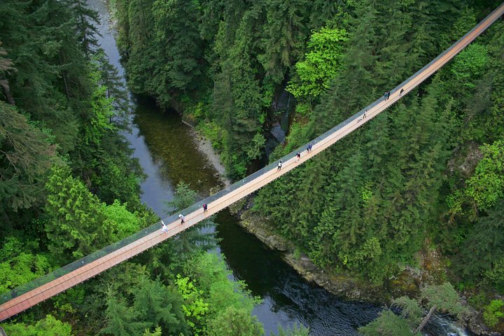 Utforsk Vancouvers North Shore, inkludert Capilano Suspension Bridge og Grouse Mountain, foto 11 | wizardtrip