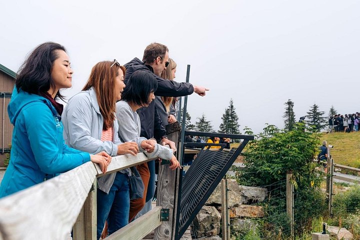 Utforsk Vancouvers North Shore, inkludert Capilano Suspension Bridge og Grouse Mountain, foto 20 | wizardtrip