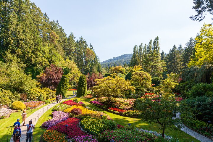 Excursión de un día a Victoria y Jardines Butchart desde Vancouver, con ferry panorámico, jardines y ciudad, foto 6 | wizardtrip