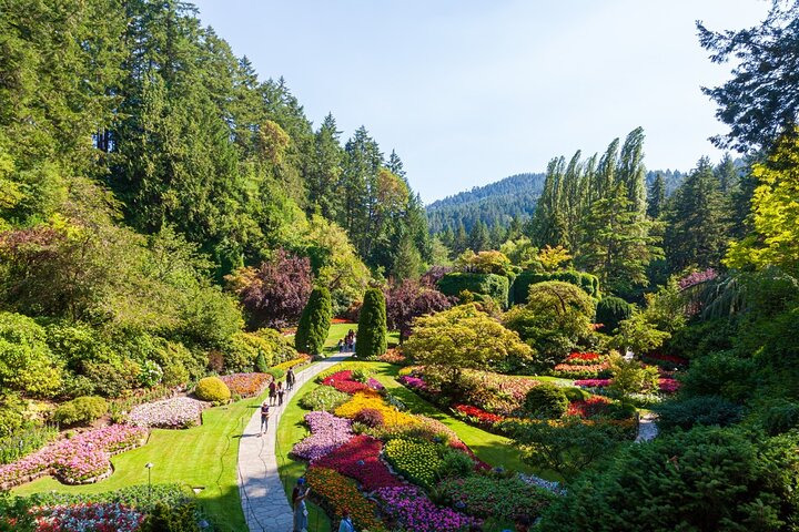 Excursión de un día a Victoria y Jardines Butchart desde Vancouver, con ferry panorámico, jardines y ciudad, foto 8 | wizardtrip