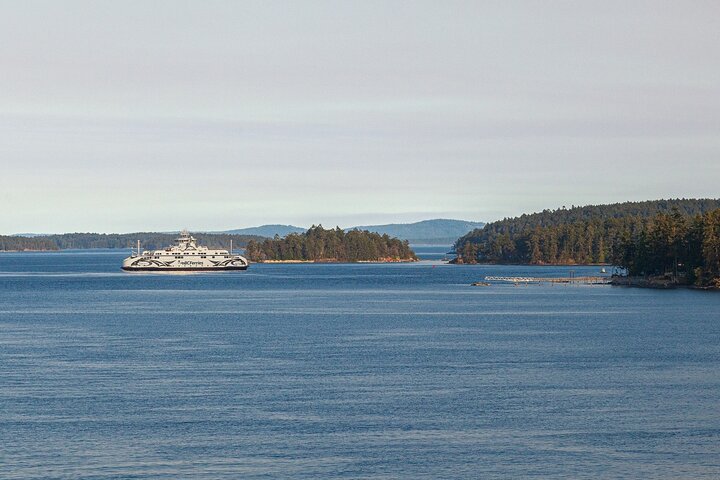 Excursión de un día a Victoria y Jardines Butchart desde Vancouver, con ferry panorámico, jardines y ciudad, foto 22 | wizardtrip