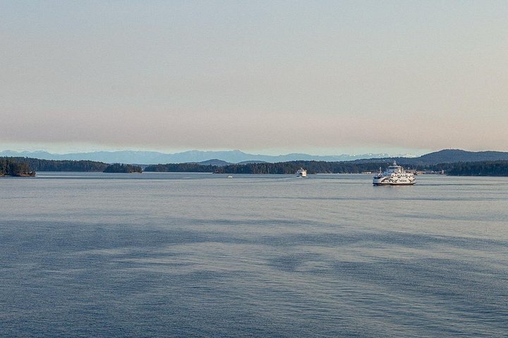 Excursión de un día a Victoria y Jardines Butchart desde Vancouver, con ferry panorámico, jardines y ciudad, foto 23 | wizardtrip