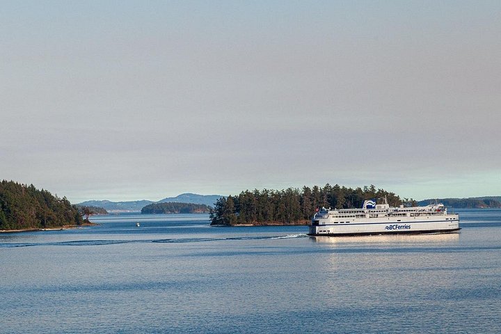 Excursión de un día a Victoria y Jardines Butchart desde Vancouver, con ferry panorámico, jardines y ciudad, foto 25 | wizardtrip