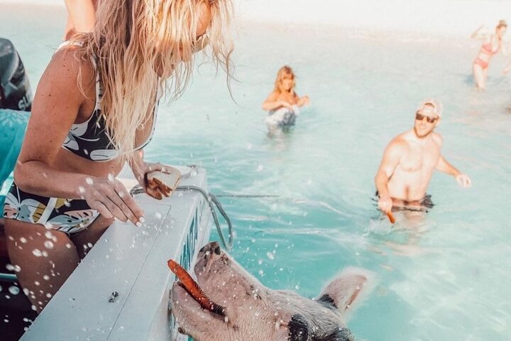 Ö-hoppningsäventyr på Bahamas med simmande grisar, sköldpaddor och snorkling, foto 6 | wizardtrip