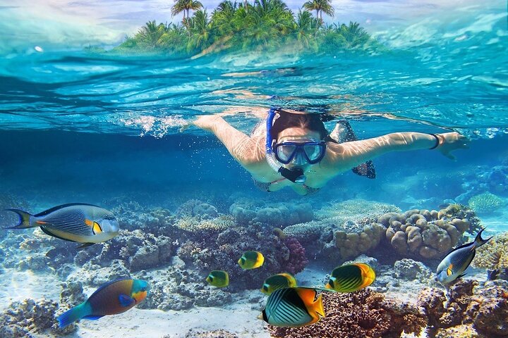 Ö-hoppningsäventyr på Bahamas med simmande grisar, sköldpaddor och snorkling, foto 11 | wizardtrip