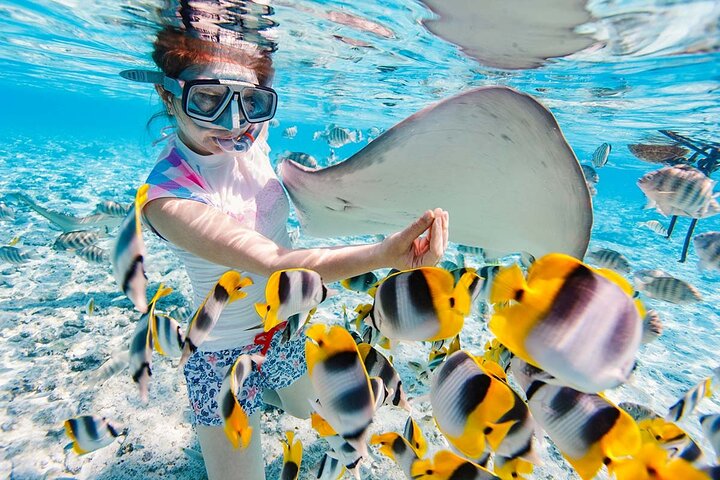 Ö-hoppningsäventyr på Bahamas med simmande grisar, sköldpaddor och snorkling, foto 13 | wizardtrip